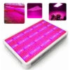 LED Growboard 150w
