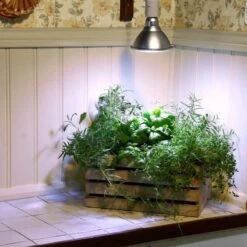 Primula Nova Grow LED 16 W, Silver -Garden Supplies Sales 2024 vaxtlampa kryddvaxter primula nova silver