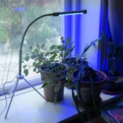 Växtlampa LED 7W USB, Salvia/vit -Garden Supplies Sales 2024 vaxtlampa led 7w usb blatt ljus salvia