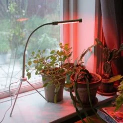 Växtlampa LED 7W USB, Salvia/vit -Garden Supplies Sales 2024 vaxtlampa led 7w usb rott ljus salvia