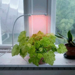 Växtlampa LED 7W USB, Vit