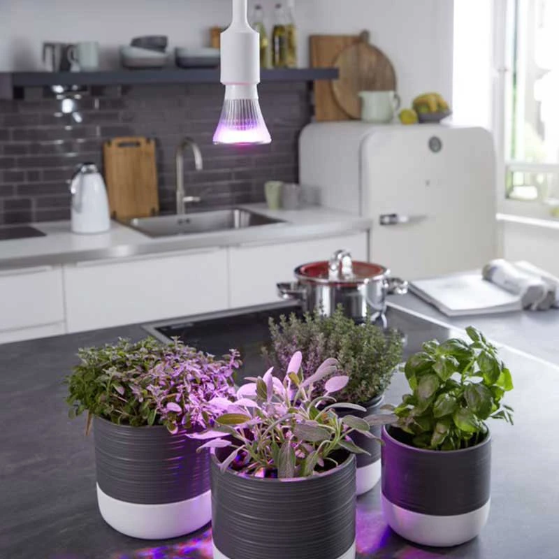 Växtlampa Odla 6W 4 Växtlampa Odla 6W - Image 2