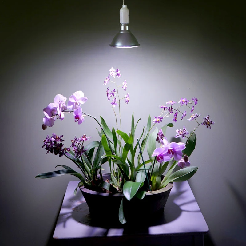 Primula Nova Indoor LED 16 W, Silver 6 Primula Nova Indoor LED 16 W, Silver - Image 4