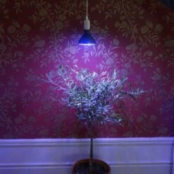 Primula Nova Winter LED 16 W, Antracit 7 Primula Nova Winter LED 16 W, Antracit -Garden Supplies Sales 2024 vaxtlampa overvintring antracit olivetrad