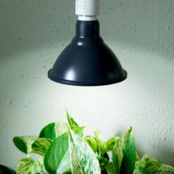 Primula Nova Indoor LED 16 W, Antracit