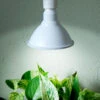 Primula Nova Indoor LED 16 W, Vit -Garden Supplies Sales 2024 vaxtlampa primula indoor vit gullranka
