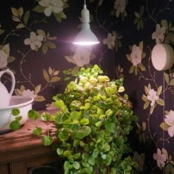 Primula Nova Indoor LED 16 W, Vit -Garden Supplies Sales 2024 vaxtlampa primula vit grona vaxter