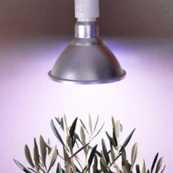 Primula Nova Winter LED 16 W, Silver