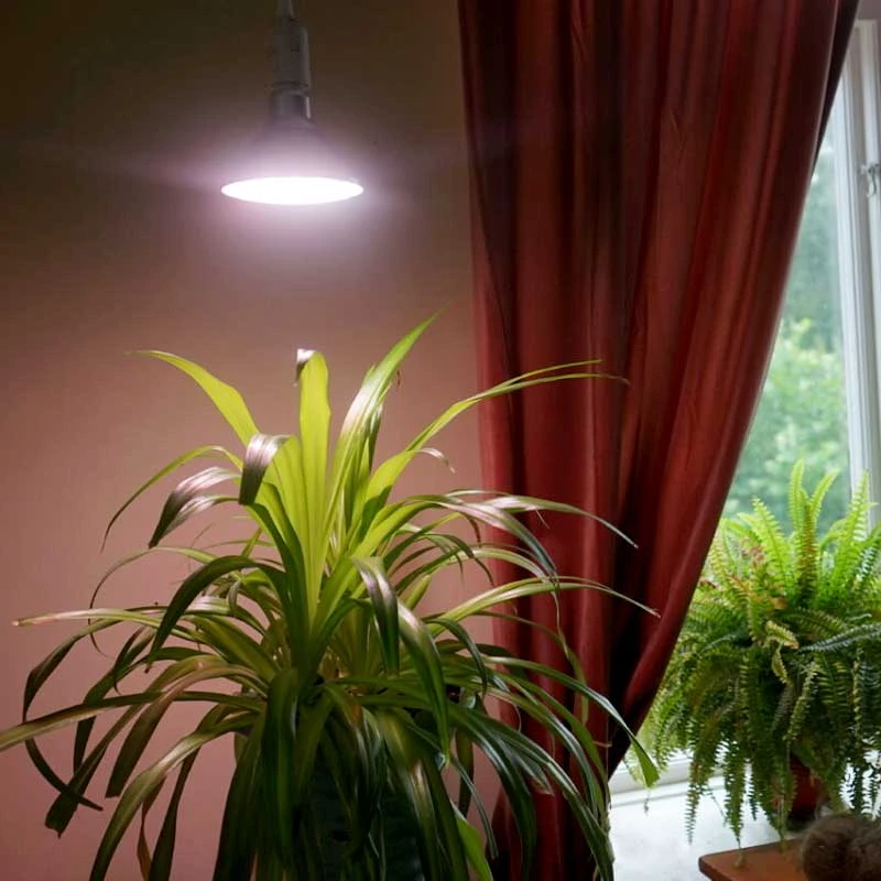 Primula Nova Indoor LED 16 W, Silver 5 Primula Nova Indoor LED 16 W, Silver - Image 3