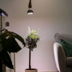 Växtlampa Standard 18W, 60grader 9 Växtlampa Standard 18W, 60grader -Garden Supplies Sales 2024 vaxtlampa standard 18w 60 grader