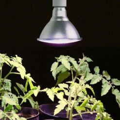 Primula Nova Grow LED 16 W, Silver -Garden Supplies Sales 2024 vaxtlampa tomater primula nova silver