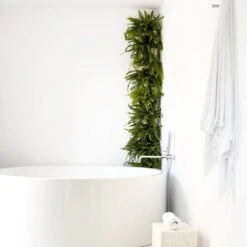 Minigarden Corner Column, Svart 9 Minigarden Corner Column, Svart -Garden Supplies Sales 2024 vaxtvagg i badrummet med ormbunkar 1