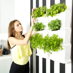 Minigarden One Vertikalodling, Terrakotta -Garden Supplies Sales 2024 vaxtvagg minigarden one vit med kryddvaxter 3