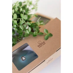 SunLite Växtlampa Med Teleskopstativ, Grå -Garden Supplies Sales 2024 venso sunlite forpackning