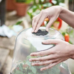 Elho Minidrivhus, Green Basics, Terrakotta, 30 Cm -Garden Supplies Sales 2024 ventilation pa kupa green basics 30 cm 2