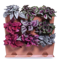 Minigarden Vertical Växtvägg, Grön -Garden Supplies Sales 2024 vertical minigarden vaggodling med bladbegonior 2