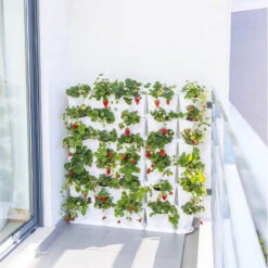 Minigarden Vertical Växtvägg, Vit -Garden Supplies Sales 2024 vertikalodling i vaggodlingssystem med jordgubbar 2