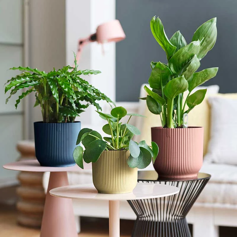 Elho Kruka Vibes Fold 25 Cm, Mörkblå 4 Elho Kruka Vibes Fold 25 Cm, Mörkblå - Image 2