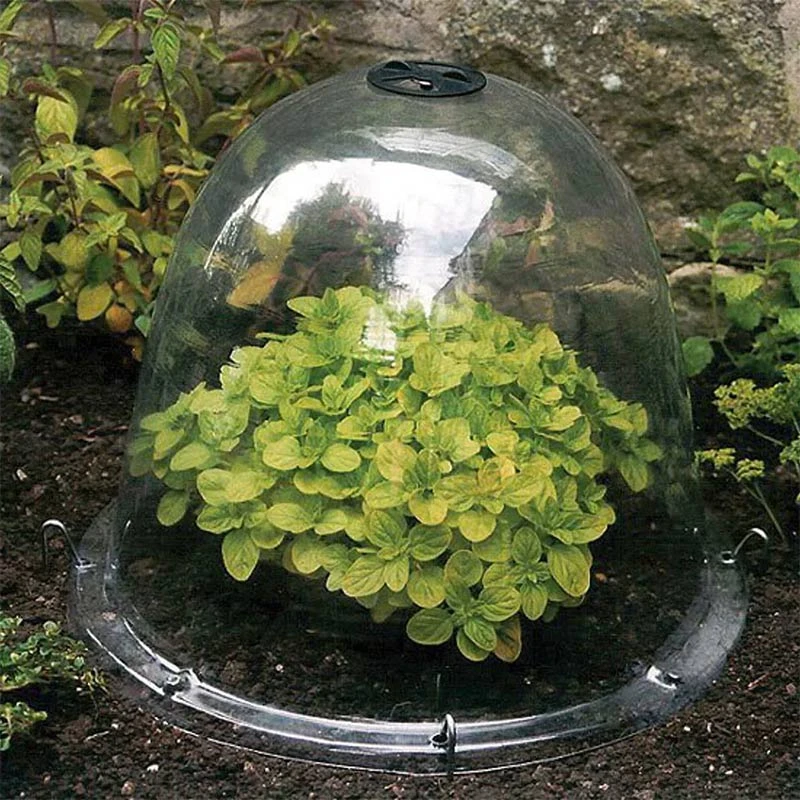 Original Victorian Bell Odlingsklocka, 3-pack 4 Original Victorian Bell Odlingsklocka, 3-pack - Image 2