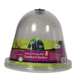 Original Victorian Bell Odlingsklocka, 3-pack 7 Original Victorian Bell Odlingsklocka, 3-pack -Garden Supplies Sales 2024 victorian bell minivaxthuskupa orginal