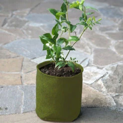 Odlingssäck Vigoroot 5L, 3-pack 7 Odlingssäck Vigoroot 5L, 3-pack -Garden Supplies Sales 2024 vigoroot 5L odlingssack for balkong