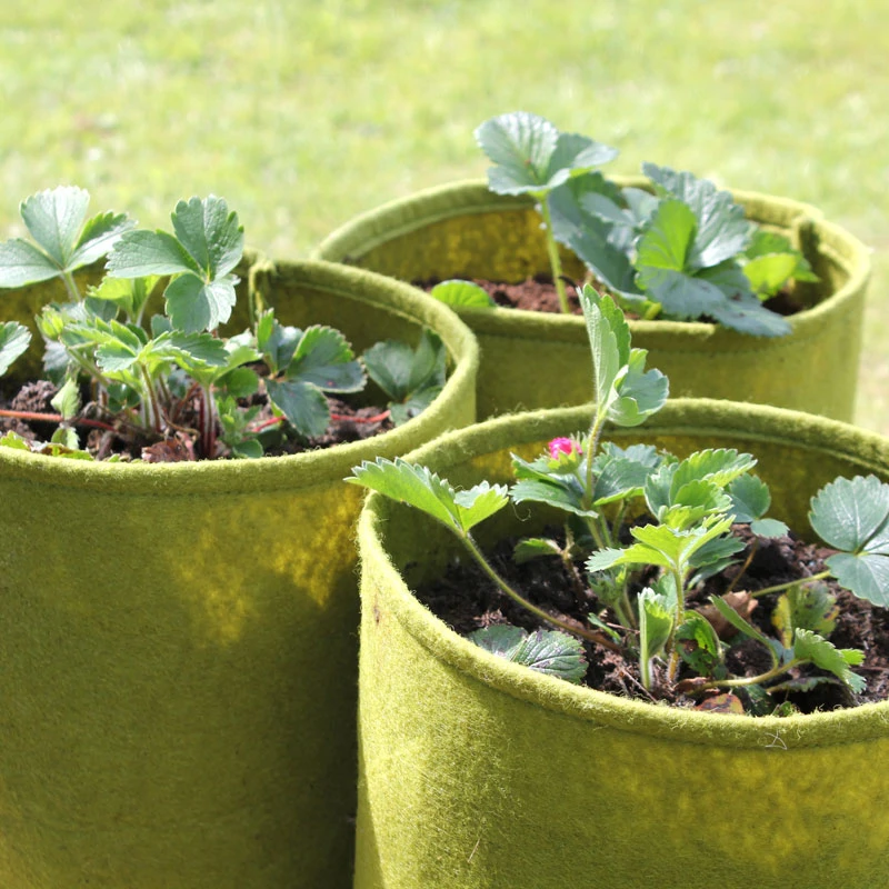 Odlingssäck Vigoroot 5L, 3-pack 5 Odlingssäck Vigoroot 5L, 3-pack - Image 3