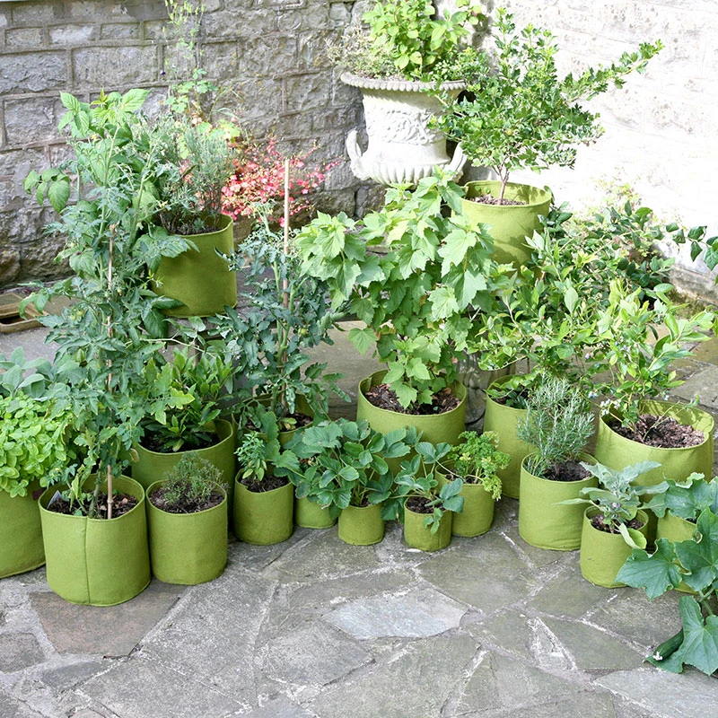 Odlingssäck Vigoroot Vegetable Planter 4 Odlingssäck Vigoroot Vegetable Planter - Image 2