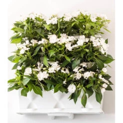 Minigarden Vertical Växtvägg, Vit -Garden Supplies Sales 2024 vit vaxtvagg monterad pa vaggen